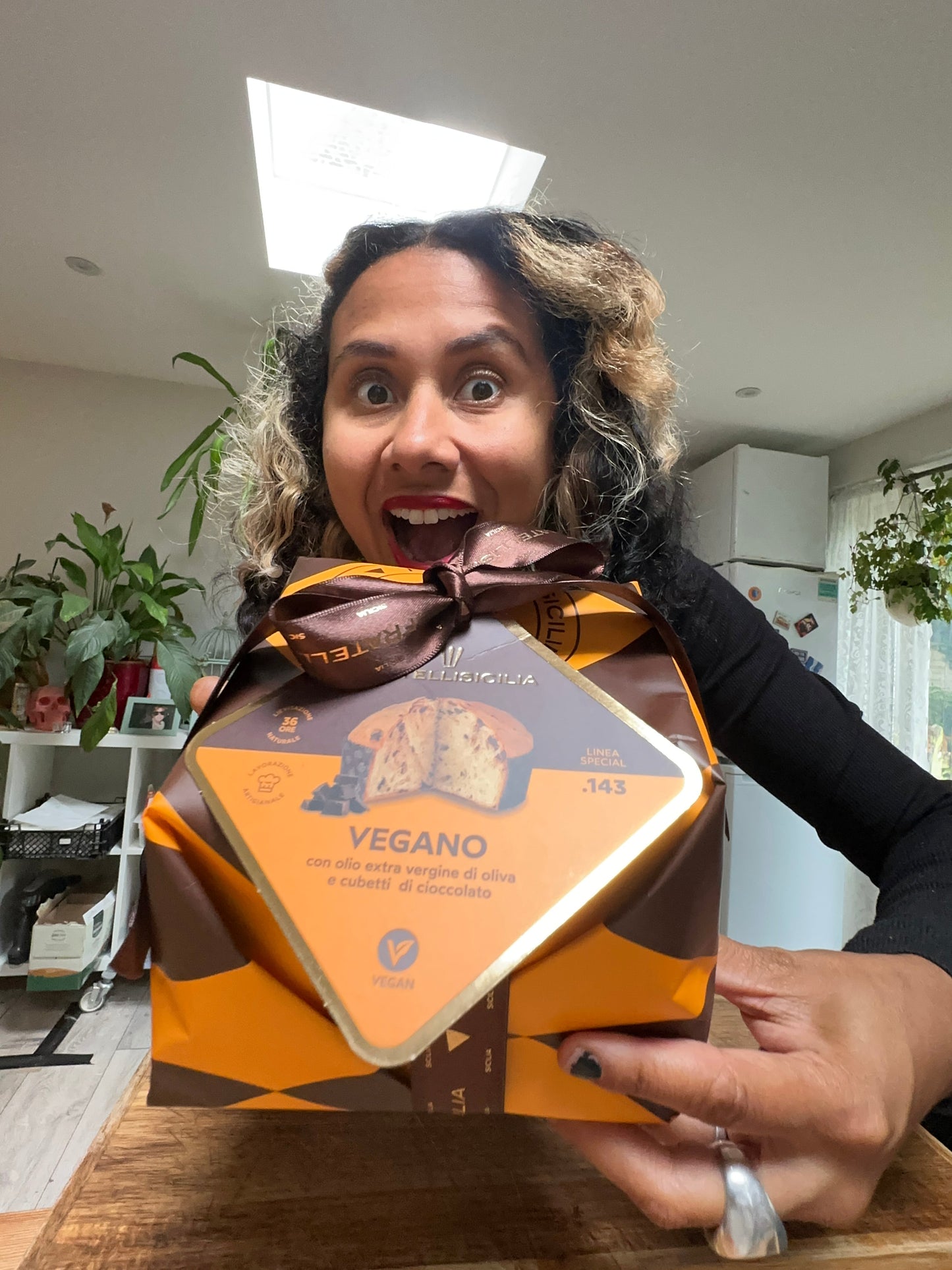 Luxury Vegan Panettone 500g - (Pre - Order – Ships Early November) - Casadei Foods