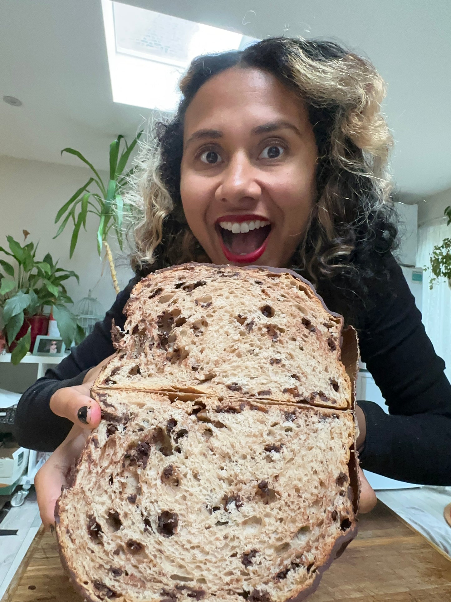 Luxury Vegan Chocolate Chip Panettone 500g – Pre - Order Now for Mid November Dispatch - Casadei Foods